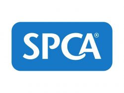 spca